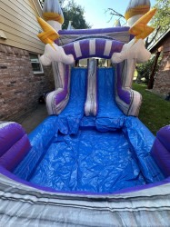 5441893D 3759 41D4 9325 C2D3191C79BD 1 105 c 1730705779 Thunder bounce house combo